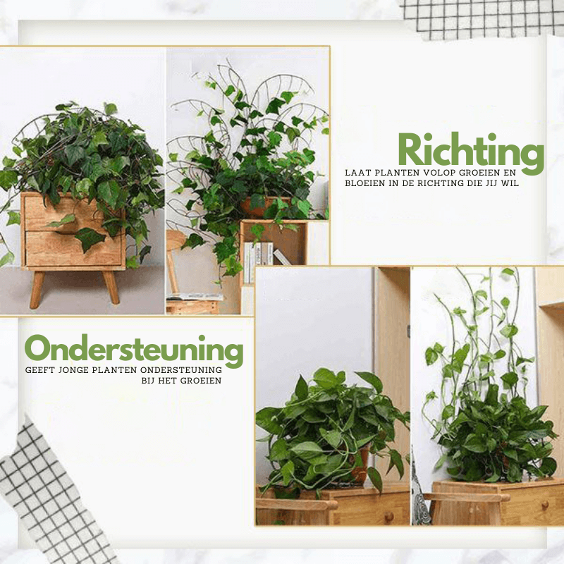 Climbing Plant Guide Clips - Verstelbare steun voor verticale tuinen - 10 of 50 Pack Options in Green of White