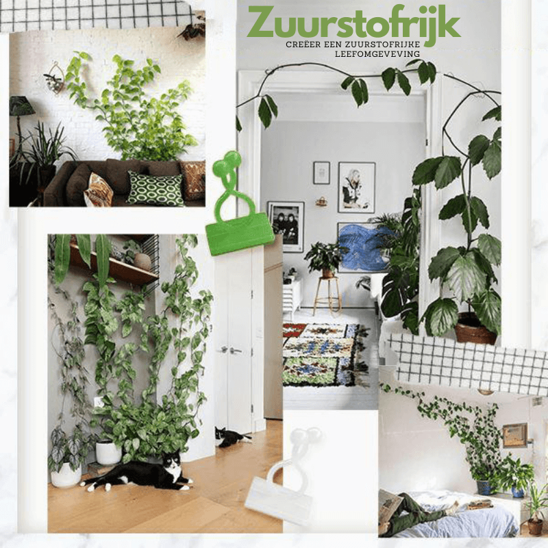 Climbing Plant Guide Clips - Verstelbare steun voor verticale tuinen - 10 of 50 Pack Options in Green of White