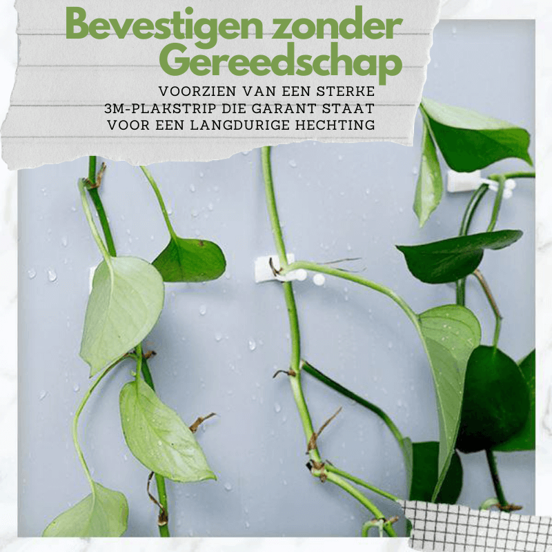 Climbing Plant Guide Clips - Verstelbare steun voor verticale tuinen - 10 of 50 Pack Options in Green of White