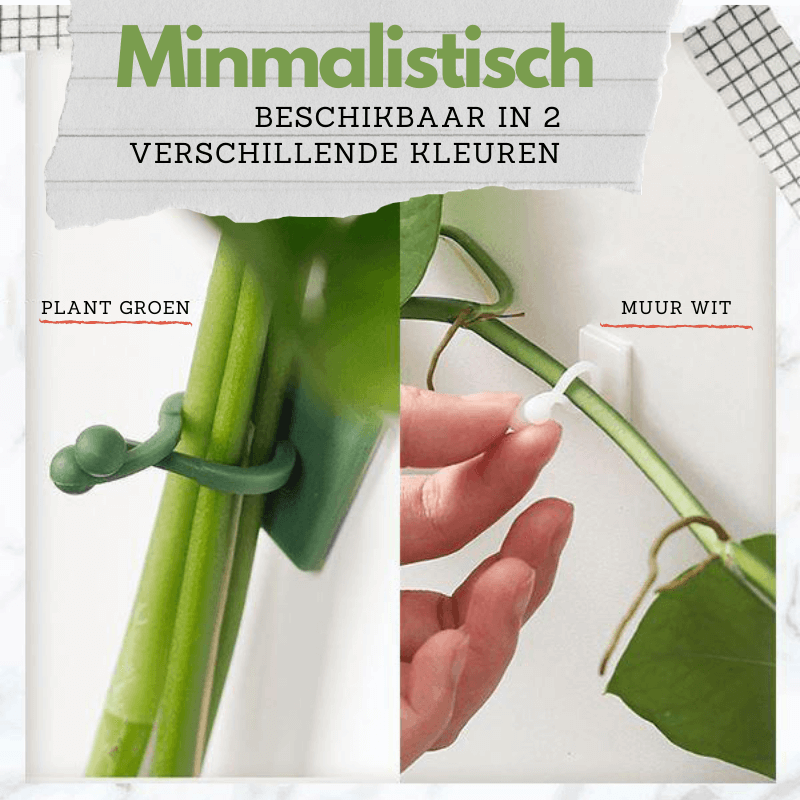 Climbing Plant Guide Clips - Verstelbare steun voor verticale tuinen - 10 of 50 Pack Options in Green of White
