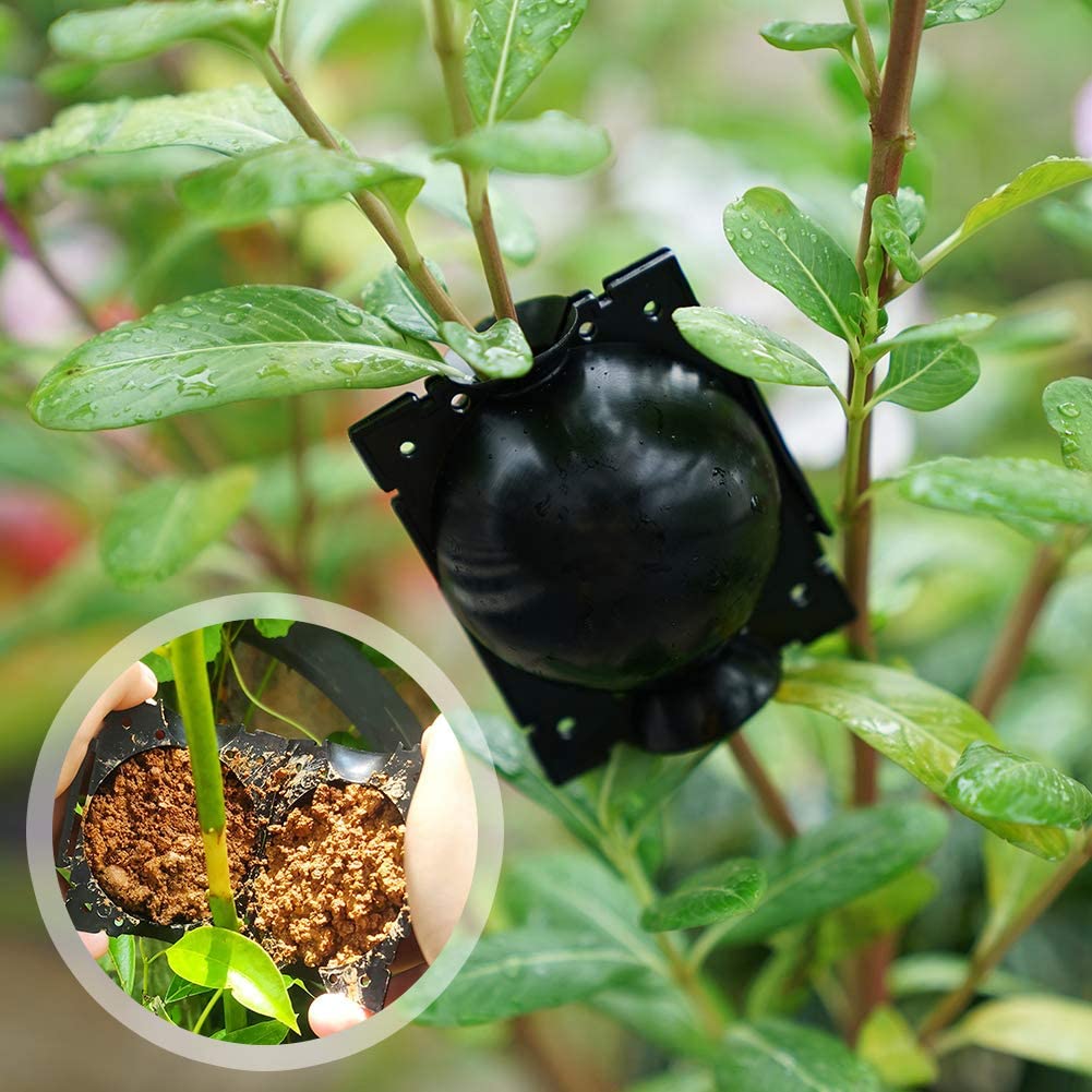 Rootball Plant Wortel Kweekbak - 5 Stuks voor eenvoudig klonen en planten vermeerderen, herbruikbaar plastic, zwart