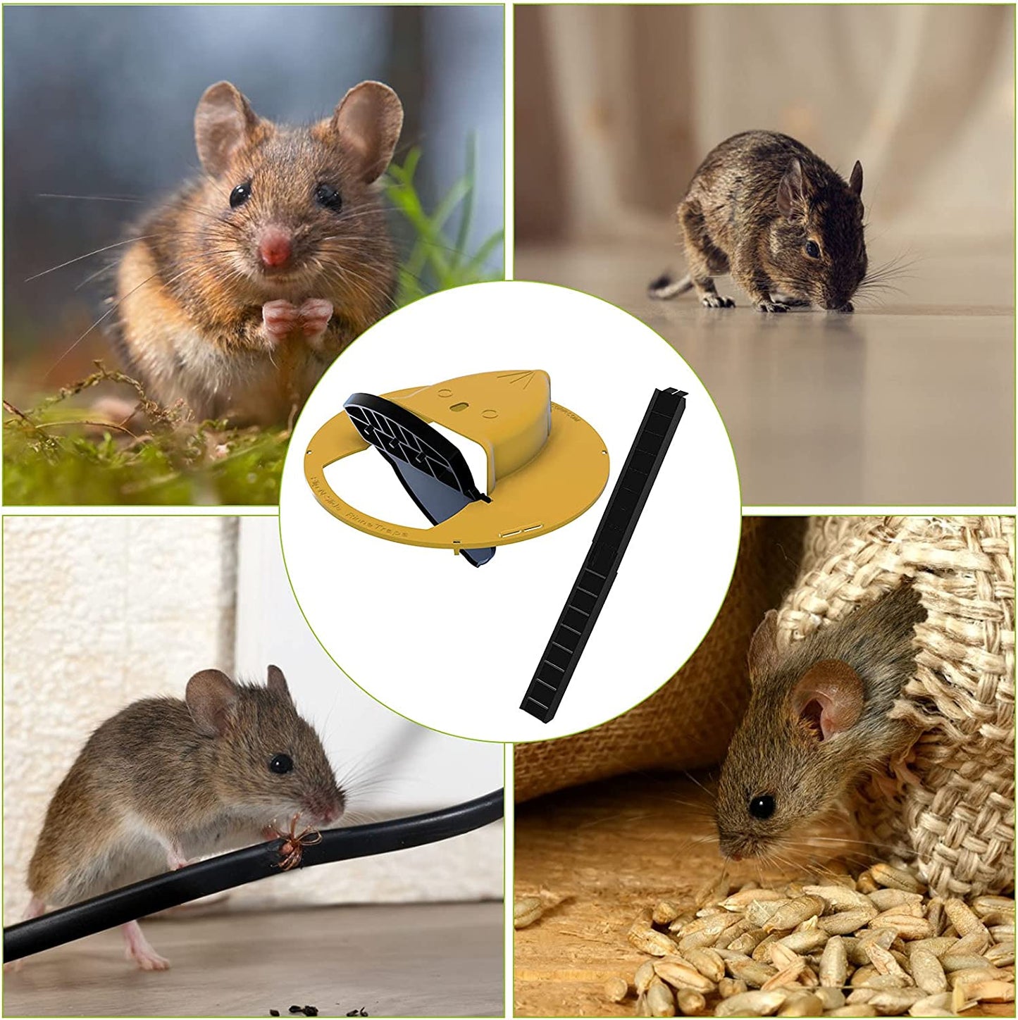 Humane muizenval - Emmerdeksel met veilige sluiting & universele pasvorm