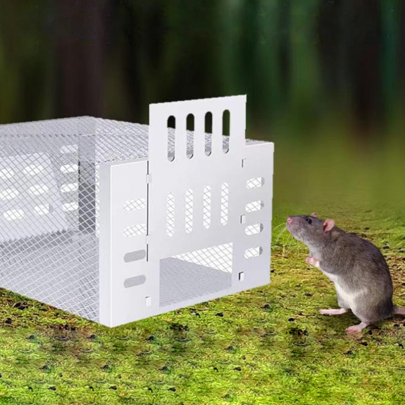 Humane muizenval voor veilige en efficiënte ongediertebestrijding - herbruikbaar ontwerp voor 10-15 muizenvangers