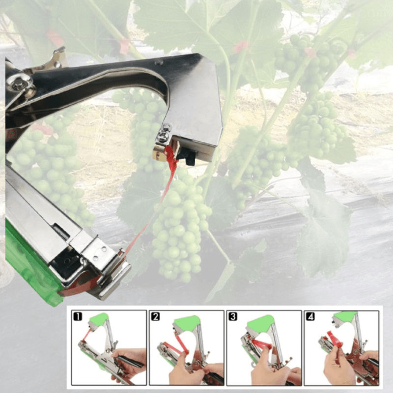 Duurzame set plantensteunen met bindband voor klimplanten en groenten - eenvoudig te gebruiken, weerbestendig