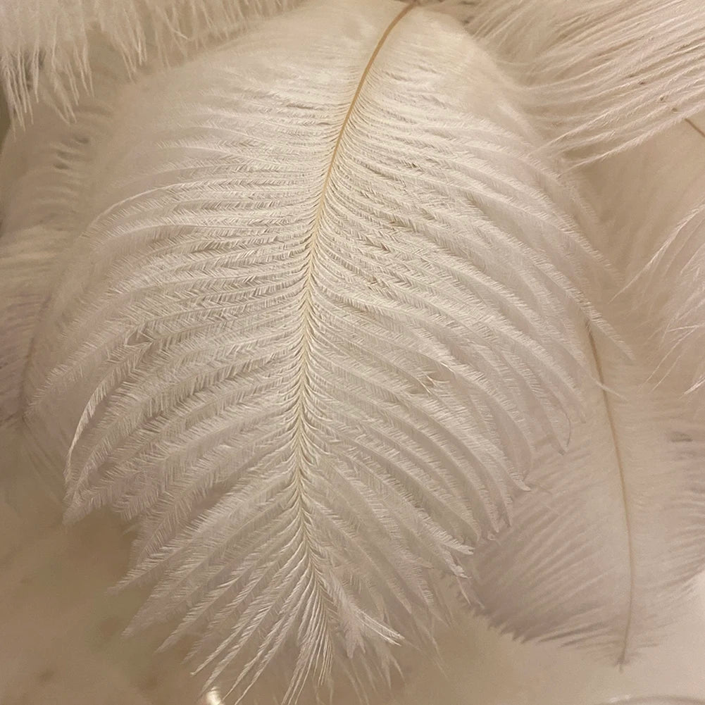 Feather