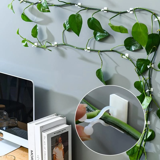 Climbing Plant Guide Clips - Verstelbare steun voor verticale tuinen - 10 of 50 Pack Options in Green of White