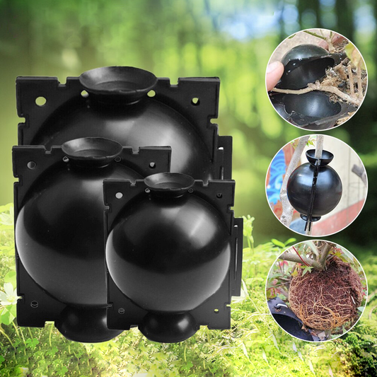 Rootball Plant Wortel Kweekbak - 5 Stuks voor eenvoudig klonen en planten vermeerderen, herbruikbaar plastic, zwart